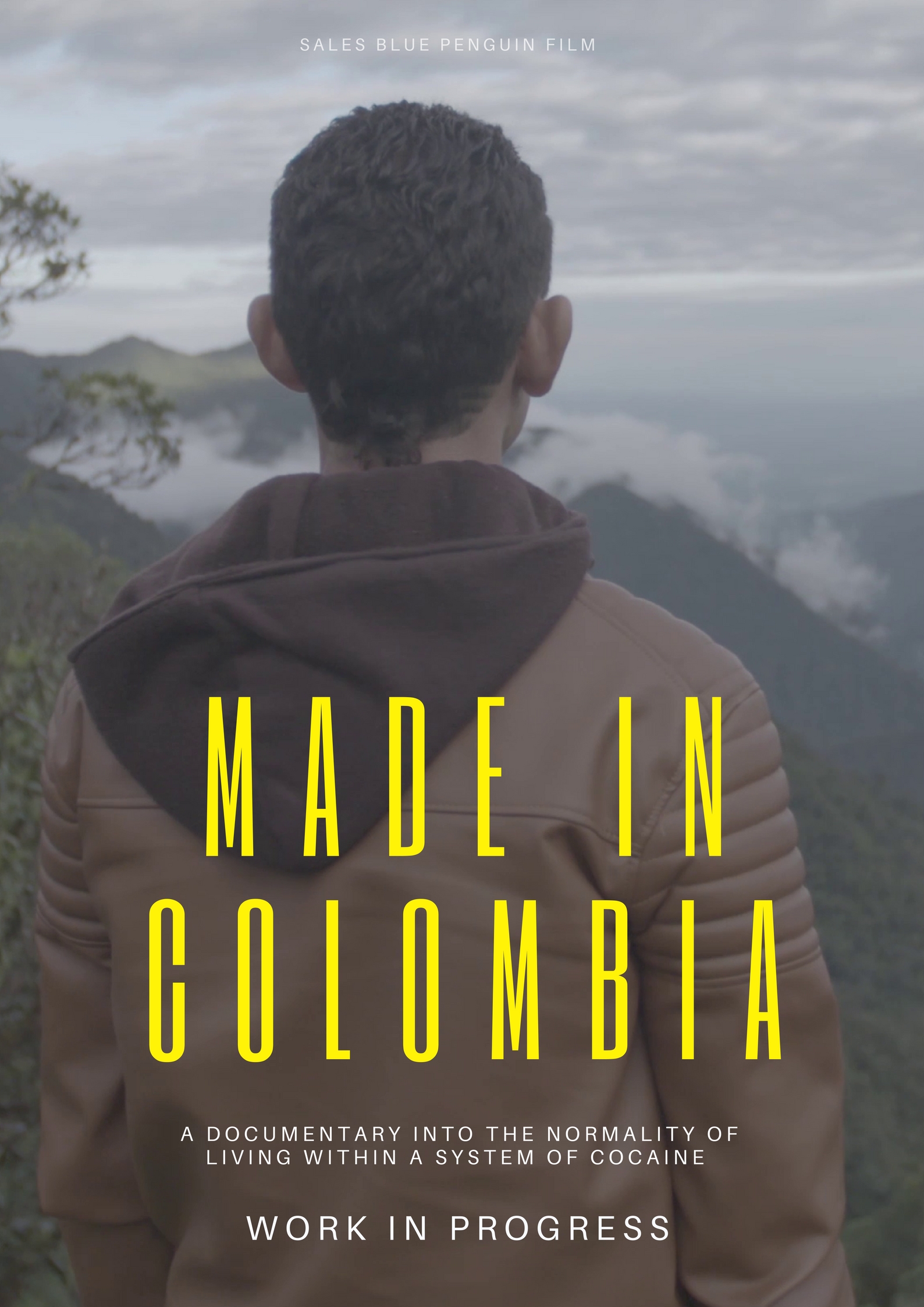 made in colombia poster
